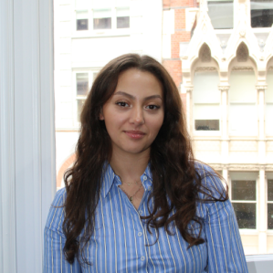 Amira - Digital Accountant